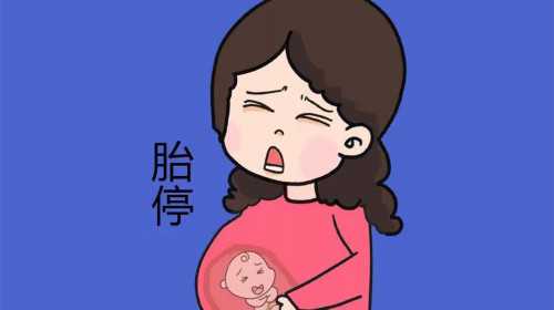 温州供卵生子哪家好 温州一医试管挂号流程 ‘12周b超胎囊怎么看男女’