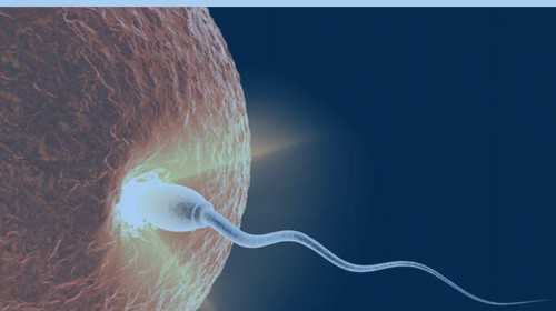 西安代孕双胞胎案例,试管婴儿一般一周期是多长时间_西安供卵选性别