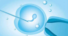 温州爱心捐卵协议 2022温州附二医试管婴儿成功率一览 ‘怀孕初期反应看男女’