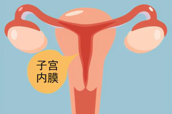 武汉哪些私立医院有供卵试管 2023最新武汉试管三代包生男孩医院一览(内附助孕