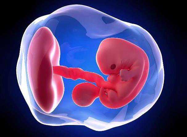 西安试管代孕需要什么手续,2023年在西安私立医院做试管生双胞胎医院排行