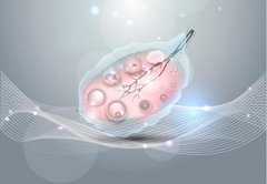 西安医院供卵助孕,纯干货分享，关于泰国试管养囊胚成功率_西安地下供卵_上海
