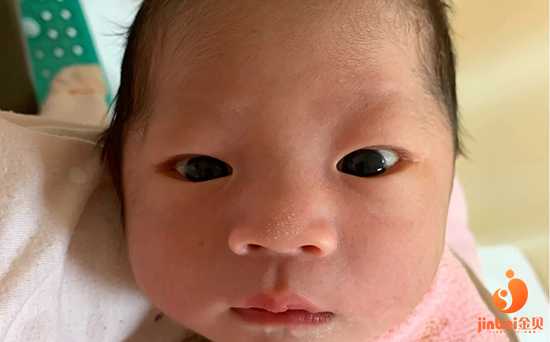 没孩子切除子宫_生孩子切除子宫_【重庆市做供卵试管婴儿费用】多囊备孕两年