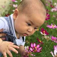 染色体异常性流产_怀孕胚胎发育不全_为什么在做泰国试管婴儿需要检查染色体